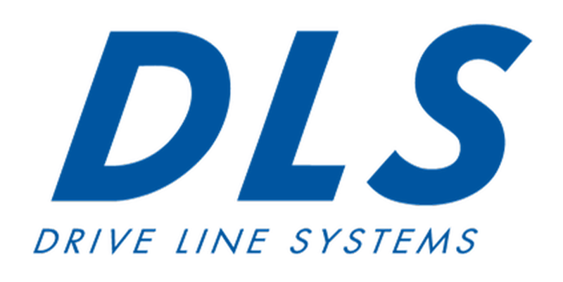 logo_dls.png